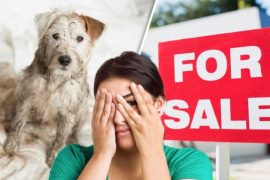 Turn Offs Buying a Property